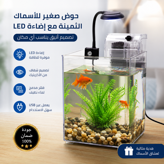 Petit aquarium de poissons précieux avec lumière LED
