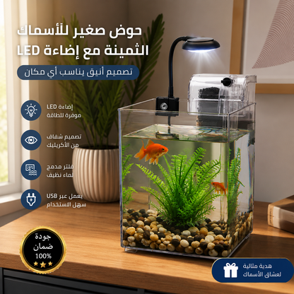 Petit aquarium de poissons précieux avec lumière LED